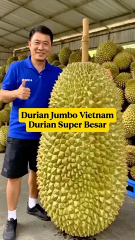 #untukkamu #fouryou  durian Musangking  durian monthong  durian jumbo durian medan 