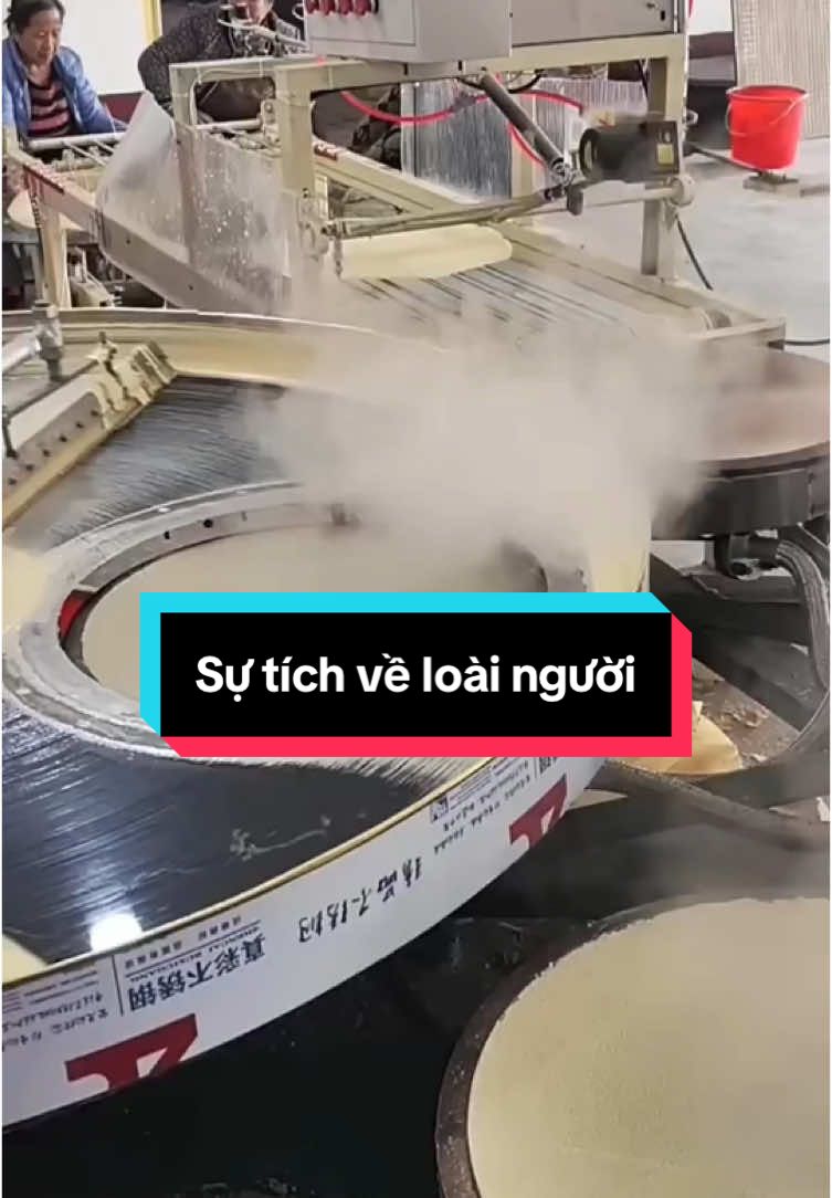 Sự tích về loài người #baihoccuocsong #trietlycuocsong #trietly #sachhay #LearnOnTikTok 