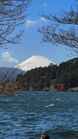 If you’re in the middle of ‘ja-planning’, I couldn’t recommend a night in Hakone (or even a day trip there) more! ⛩️ I can’t believe how lucky we got with the views of Mt Fuji today 🥹 #mtfuji #mountfuji #mtfujijapan🇯🇵 #mountfujijapan #hakone #hakonejapan #lakeashi #hakoneropeway #japantiktok #japantrip #foryou #fyp