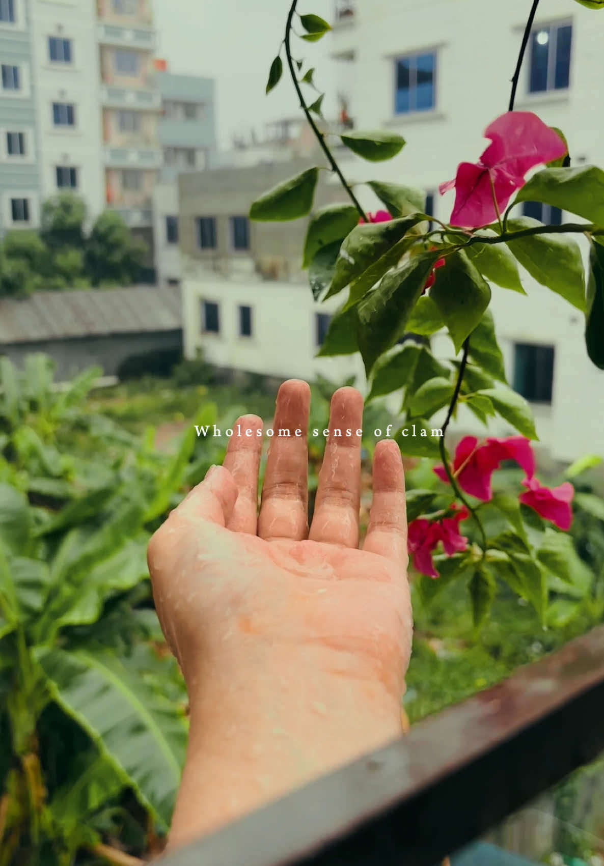 চা, বৃষ্টির গান, আর বাগানবিলাসের ঘ্রাণ—তুমি না থেকেও পাশে আছো।❤️🫶🏻⛈️🖤#rainyday #strom #nature #fyppppppppppppppppppppppp 