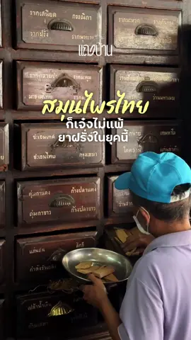 คลังสมุนไพรขนาดใหญ่ ที่มีเกือบพันชนิด! 📍เจ้ากรมเป๋อ (ถนนจักรวรรดิ) 🗓️เปิดจันทร์ - เสาร์ (หยุดวันอาทิตย์และวันหยุดนักขัตฤกษ์) ⏰ 08.00 - 16.30 น ☎️ โทร 02-221-3272 #แถวบ้าน #Taewbaan #InOurHood  #เจ้ากรมเป๋อ #สมุนไพรไทย