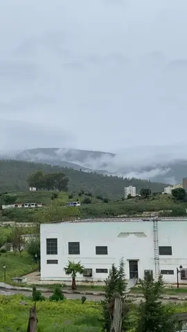 #cejour #annaba #fyyyyyyyyyyyyyyyy #الشعب_الصيني_ماله_حل😂😂 #viral_video 