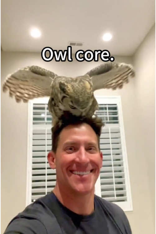 Owl core🤣🤣.#owl #owlhouse #owls #owlsoftiktok #owlcity #core #fun #funnyanimals #animals #cuteanimals #foryour #fyp #fypシ 