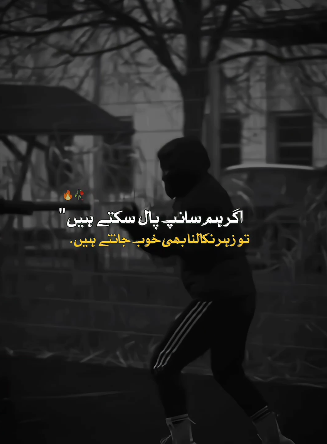 Hanji🔥✌️#foryoupage #foryou  #goesviral #🔥🥀🥀🥀❤️ #fyp #aestheticedits #boxing🥊 #foryou #👑🥀da_damnag3donez🥀👑 