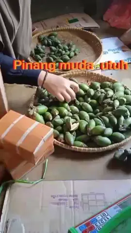 #pinangmuda 