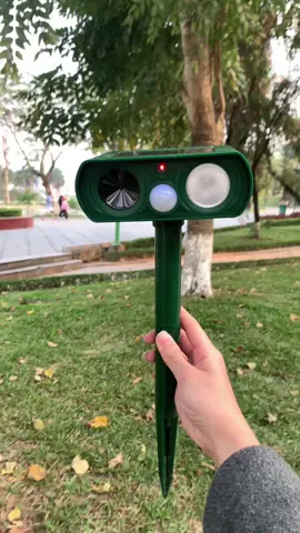 Máy đuổi chuột AMB#mayduoichuot 