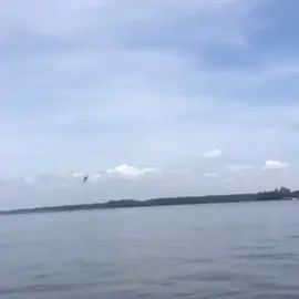 yet another a10 edit #fyp #voermanvfx #edit #a10 #freedom 