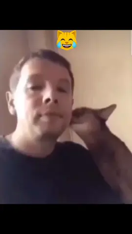 #una tentación la pata de pollo 🍗 🤭😂😋 #te quiero humano 🐈 #paratiiiiiiiiiiiiiiiiiiiiiiiiiiiiiii  #tik_tok  #humortiktok 