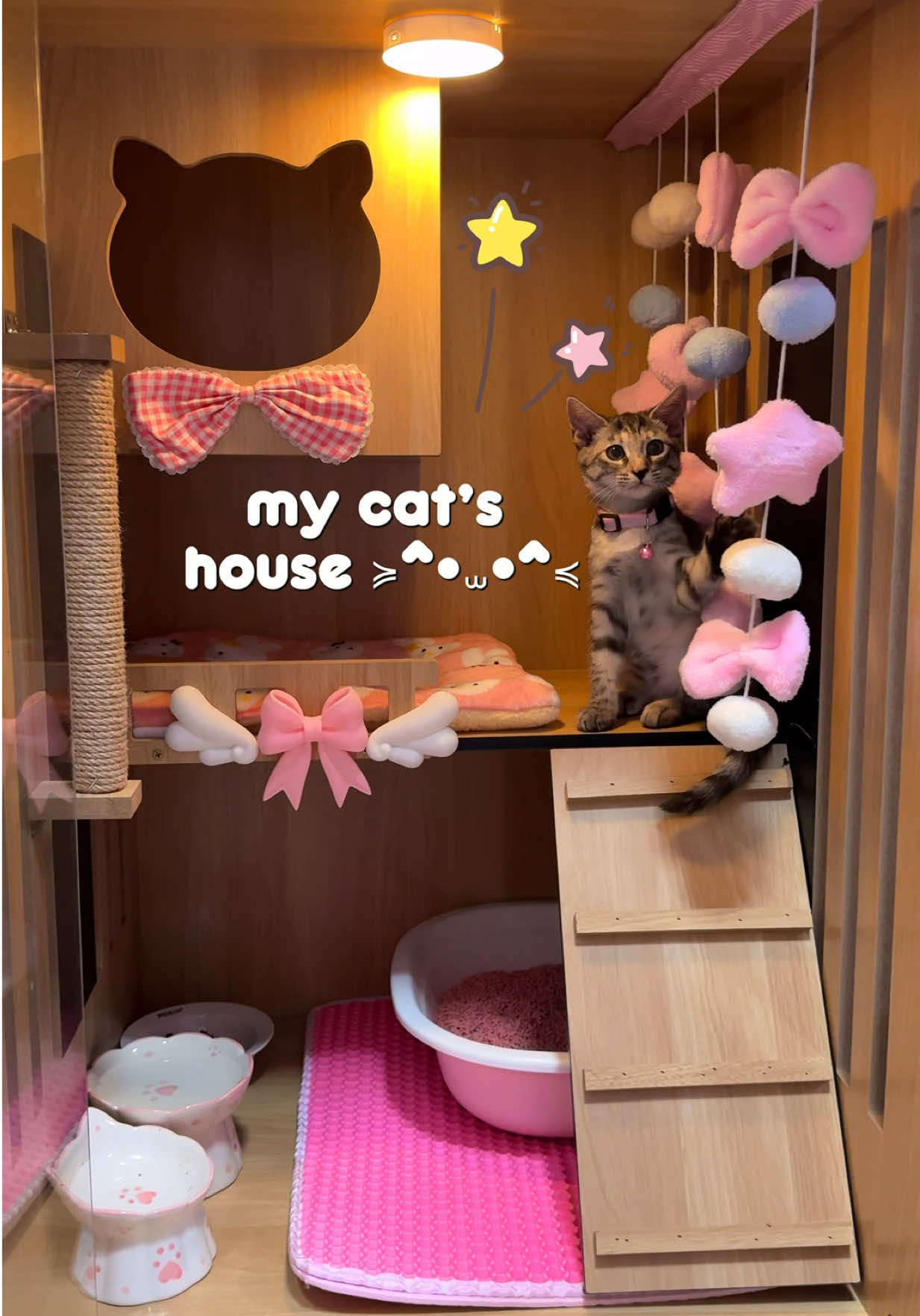 my CAT’S PINK house! 😻🎀 had so much fun decorating it with pink bows and stars~ it turned out so cute ✨  I adopted Mallows just a week ago and she’s already besties with Bocchi (my doggo)! she’s 3 months old and the sweetest, clingiest baby ever 🥹🫶🏻💕 I’m very happy Mallows’ already loving her cozy new home! 🏠 Cat house : S H 0 P E E 🇵🇭 L l N K  lN MY  B l O #cathouse #catlover #shopeefinds #shopeefindsph #siberiancat #furparent #furbaby #pinkcathouse