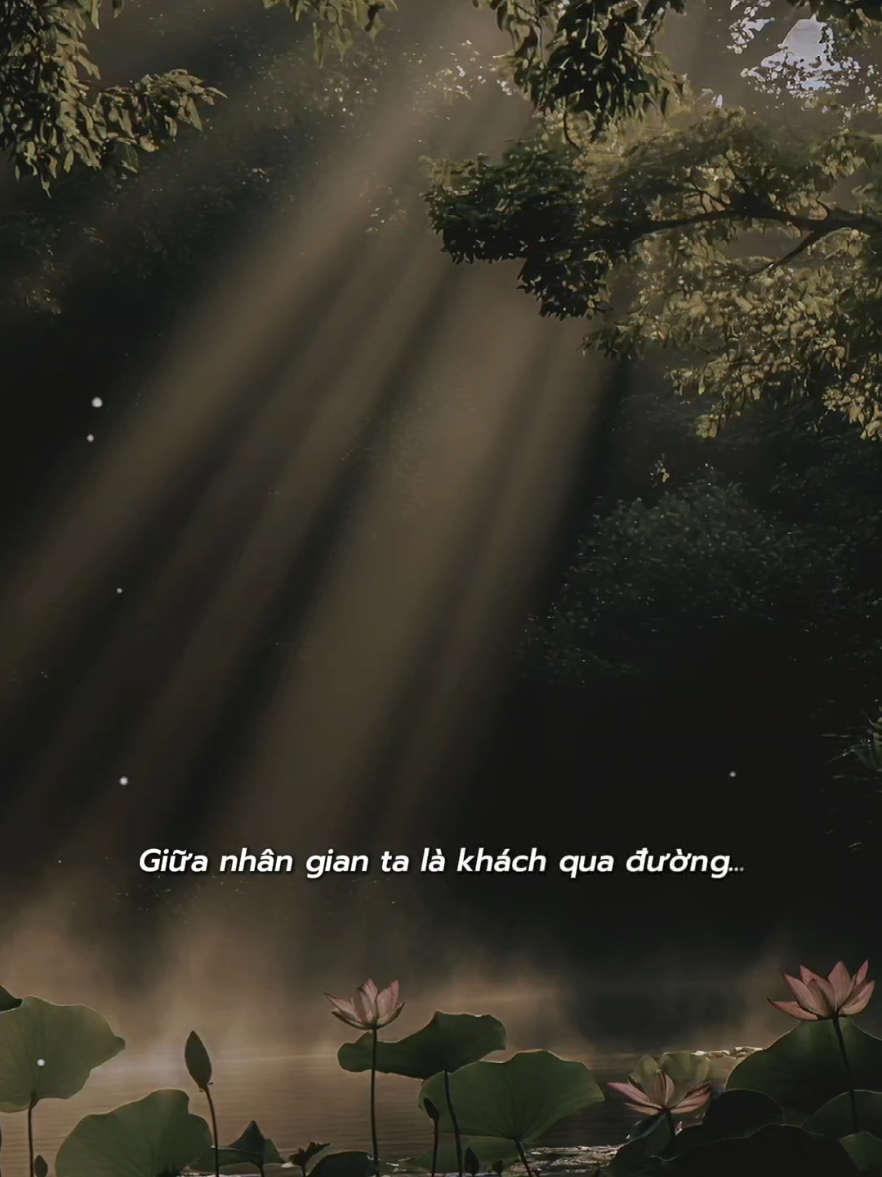 Khi đã biết cõi này là cõi tạm #nhachaymoingay #tamtrang #SBKentertainment #trambuon12 #nghelasuy12 #xuhuong2024 