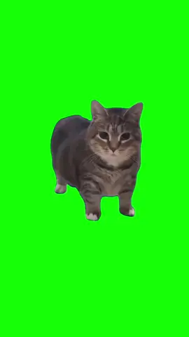 #greenscreenvideo  u i i ai o uu ii a i