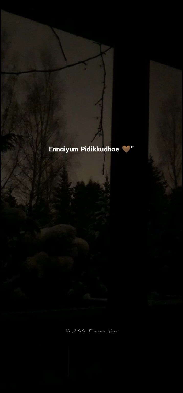 Pidikkudhae... 🤎✨ #dimman #song #rending #mention #yourgirl #she #all_time_fav__ #addicted #favorite #lyrics #nostalgia #trending #whatsappstatus #share #typ 