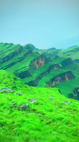 جبل مرة #السودان #sudanese #nature #vairal #فرنسا🇨🇵_بلجيكا🇧🇪_المانيا🇩🇪_اسبانيا🇪🇸 #جنقو_مسامير_الأرض🇸🇩🇸🇸 #narutoshippuden 
