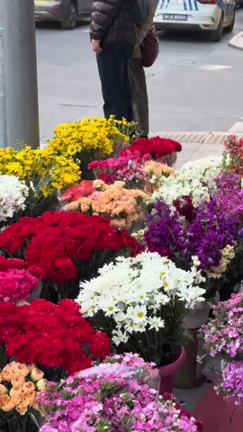 Istanbul flowers🤍 #explore #fyp #istanbul 