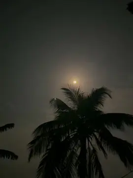 চাদের সৌন্দর্যের গভীরতা রয়েছে। যা সব হৃদয়কে স্পর্শ করে 😌🤍 #typ #foryou #viralvideo #copylinkkkkkkkkkkk 