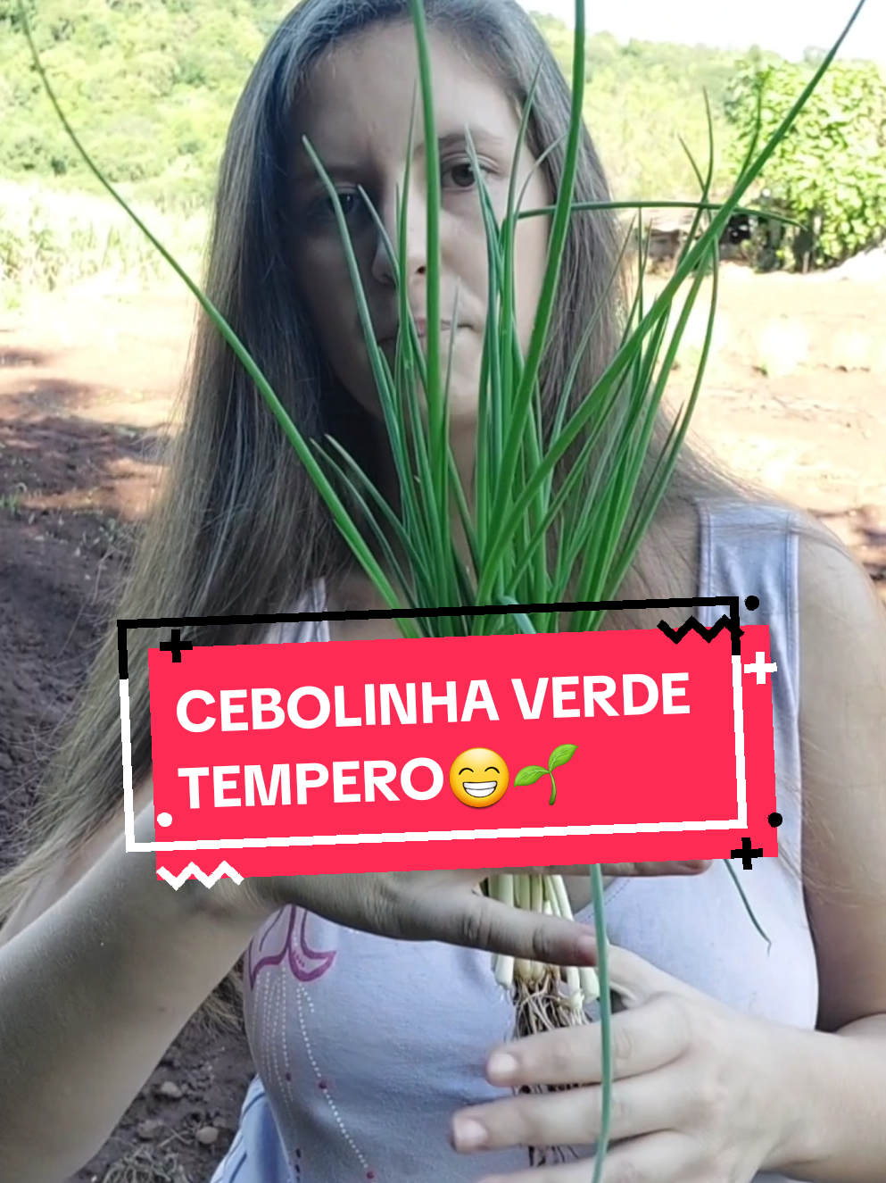 #cebolinhaverde  #cebolinha #cebola #colheita 🙏🌱 #mudas #sementes #temperos #rotina #roça  #horticultura #agro #fyp #foryoupage #viralvideos  compartilhe se puder🙏🌱@Cris Rotina na Roça ❤️🌱 @Cris Rotina na Roça ❤️🌱 @Cris Rotina na Roça ❤️🌱 @ELIZIANE vibess_zen< @.Marcolina_Brum. @simoni @DAIANE ENTRETENIMENTO 