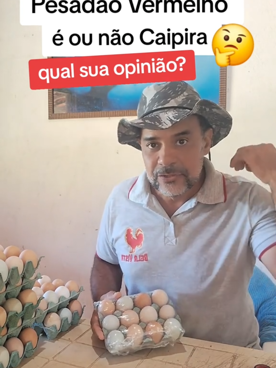 Galinhas vermelho pesadão são galinhas Caipira? #criacaocaipira #galinha #criacaodegalinhas #galinhacaipira #ovo 