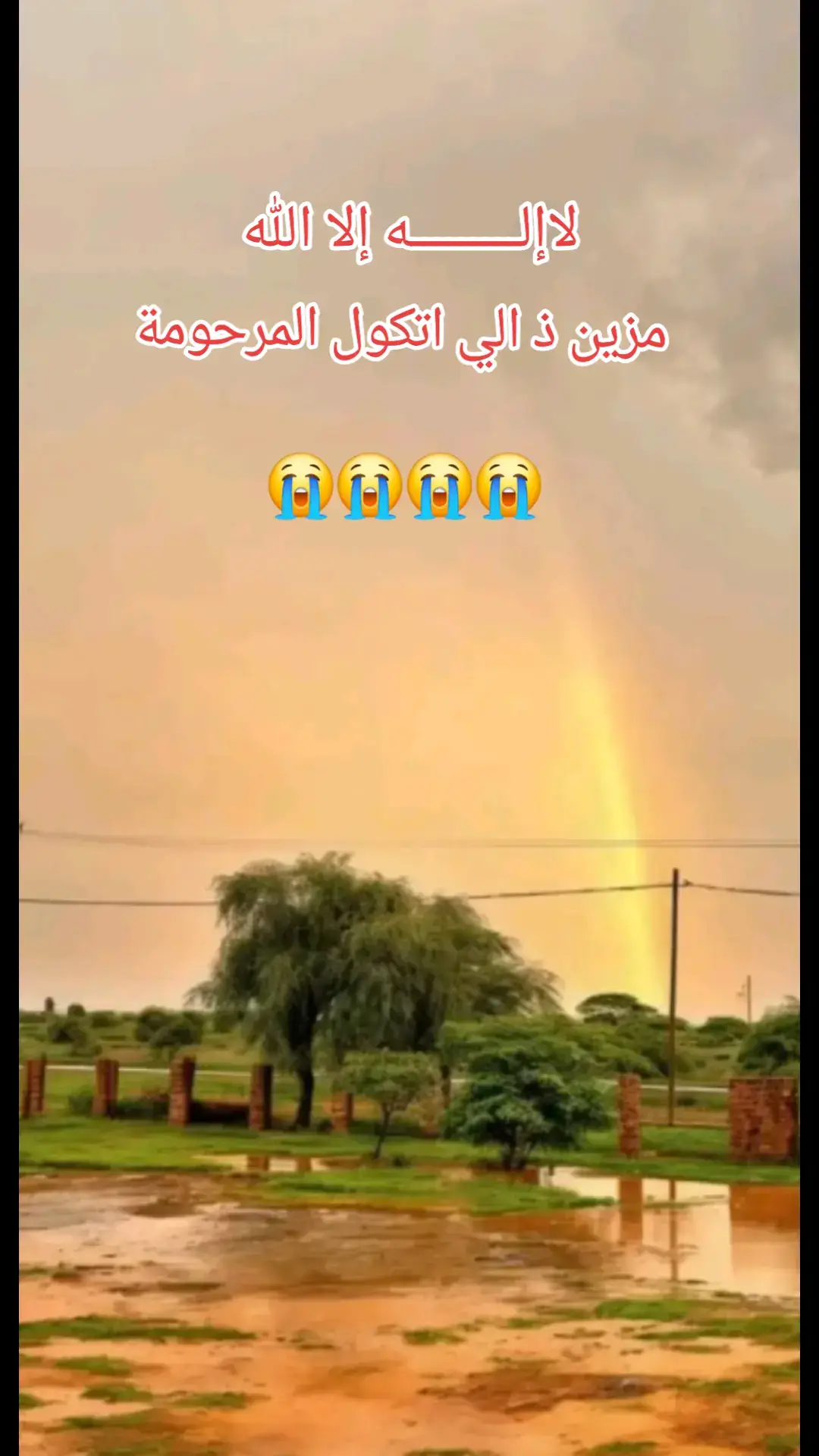 الهول الحساني واشويرات الظل وشي طايب #الهول_الحساني #مشاهير_موريتانيا #شعب_الصيني_ماله_حل 