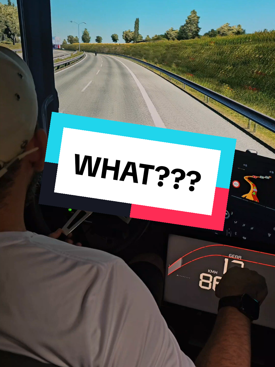 WHAT??? #eurotrucksimulator2 #gamer #videogame #GamesNoTikTok #games #game 
