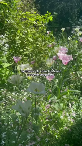 On peut dire que l’été est officiellement lancé ? La Maison de Monet est déjà ouverte au public ! #claudemonet #monet #maison #maisonclaudemonet #paris #parislife #thingstodo #parisianlife #trip #voyage #giverny 