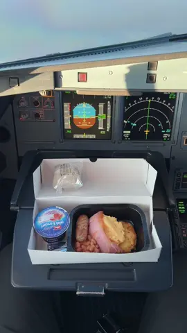 👨‍✈️ Breakfast time at 37,000ft 🍳 ~ #aviation #pilot #fyp #explore 