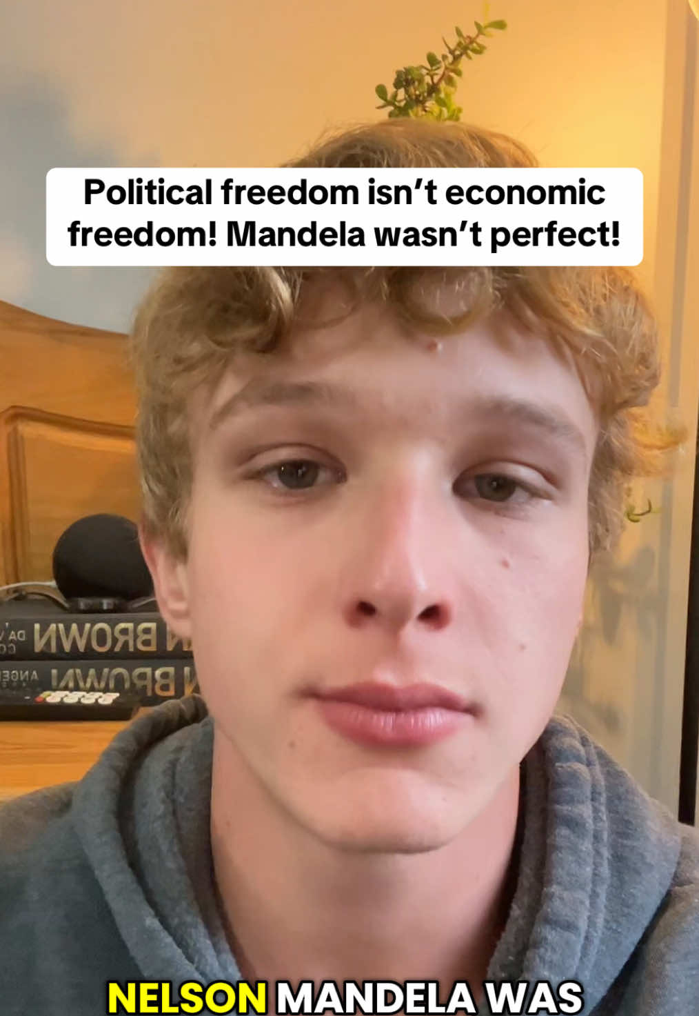 Political freedom and the right to vote does not equate economic liberation, people want to participate equally in the economy, because that’s the fair way to do it. #politicalanalysis #politicalcommentary #bluntpoliticalcommentary #nelsonmandela #politicssouthafrica #southafricapolitics #pieterkriel 