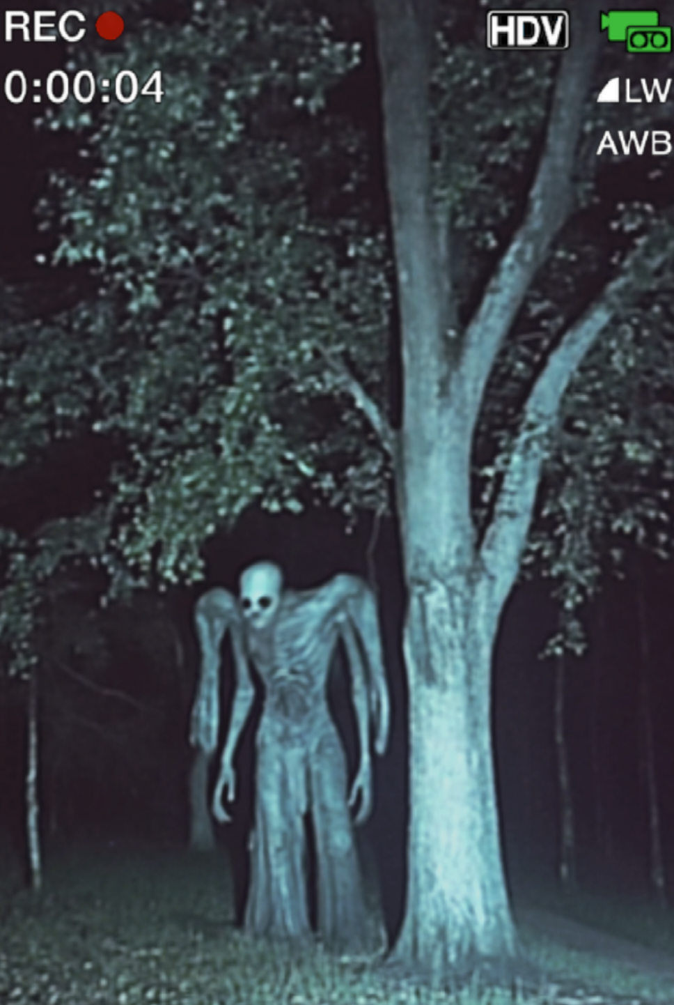 #echofragments #horror #unexplained #scaryvideo #ai #creepy #skinwalker #aivideo