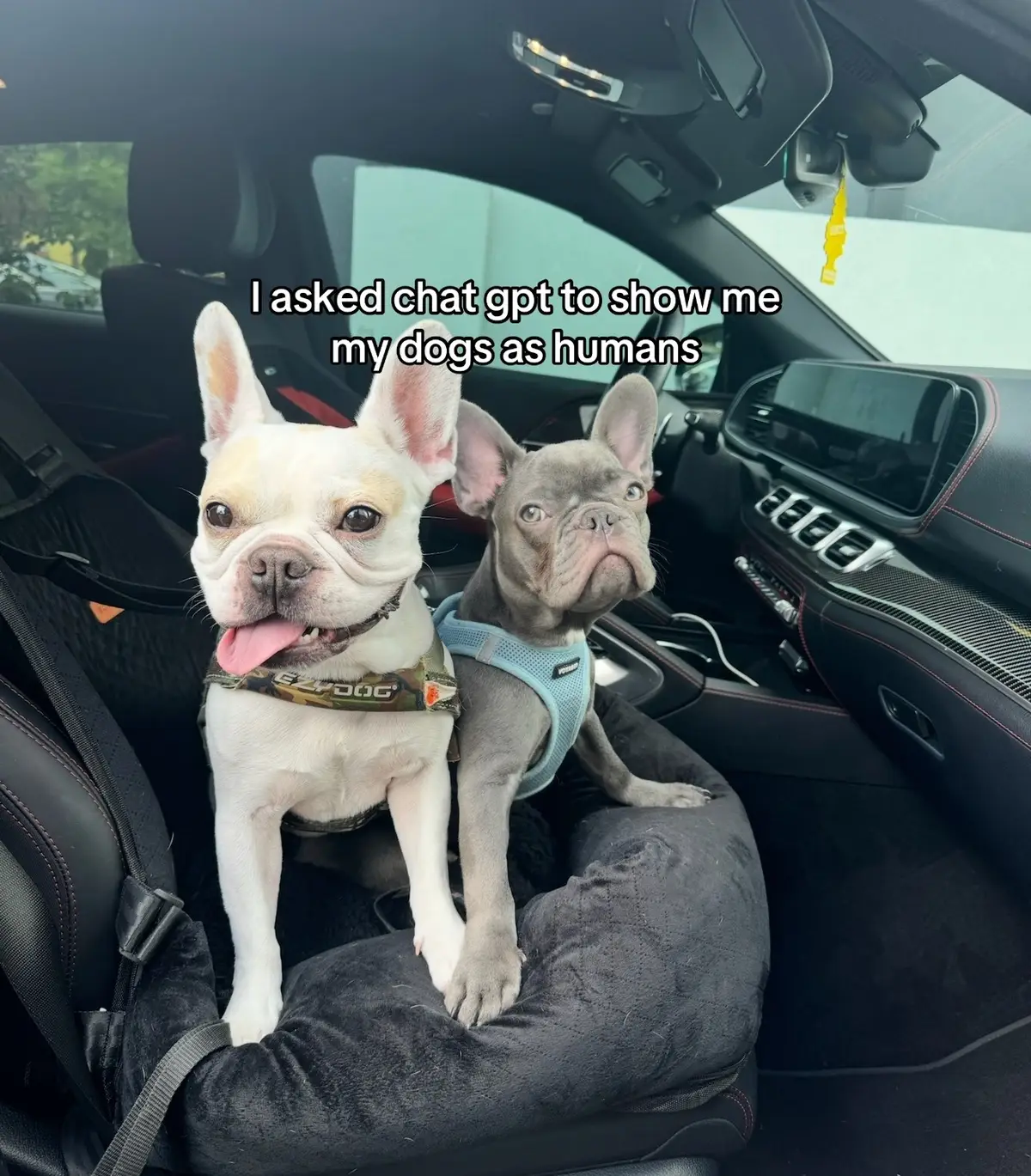 I’m in tears why is it so accurate 