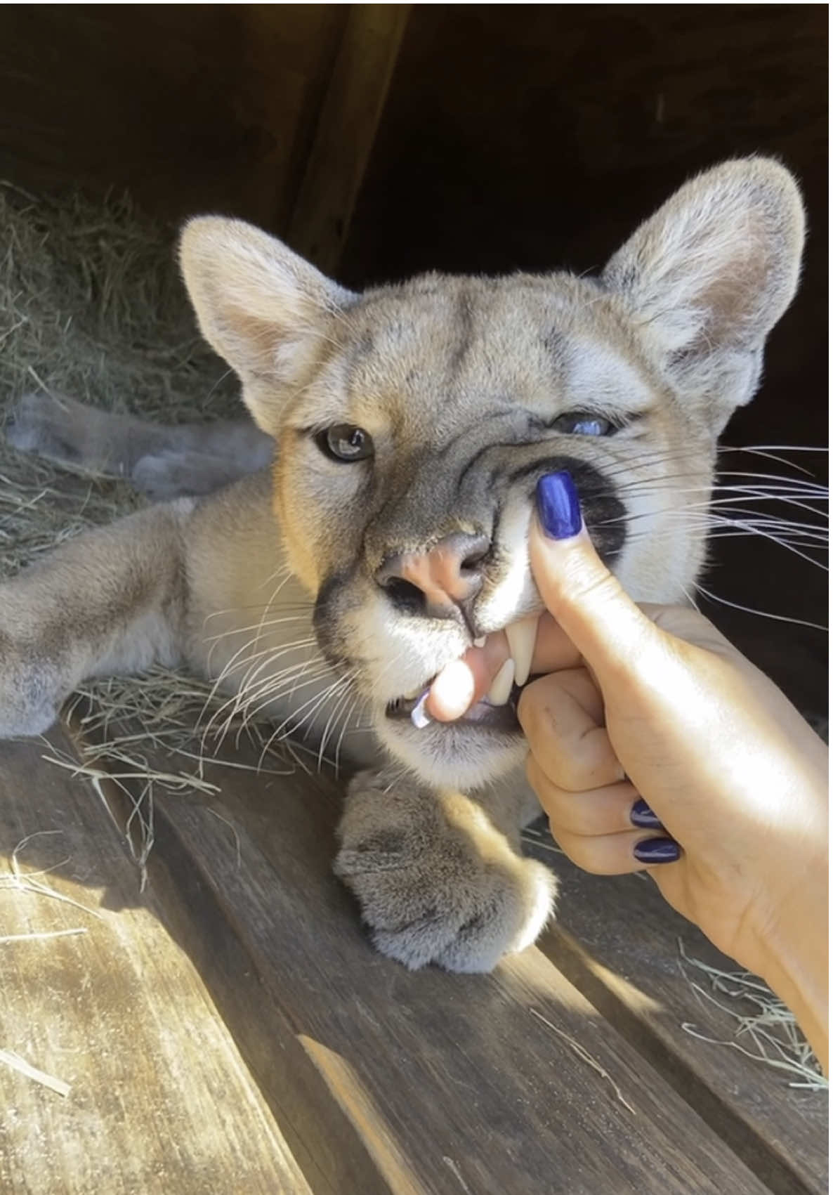 More BOOPS 