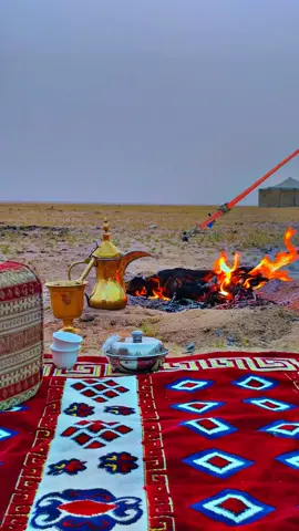 #مساءالخير #يسعدلي__اوقاتڪۘم #البر #شبة #قهوتي_معشوقتي #اصوات_الطبيعه #عصافير #روقان_مسائي #راحة_نفسية #شبة_نار_وحطب #تصويري📸 #فنجال #بدوي #جوي #لحالي_احلالي #fyp #اكسبلورexplore 