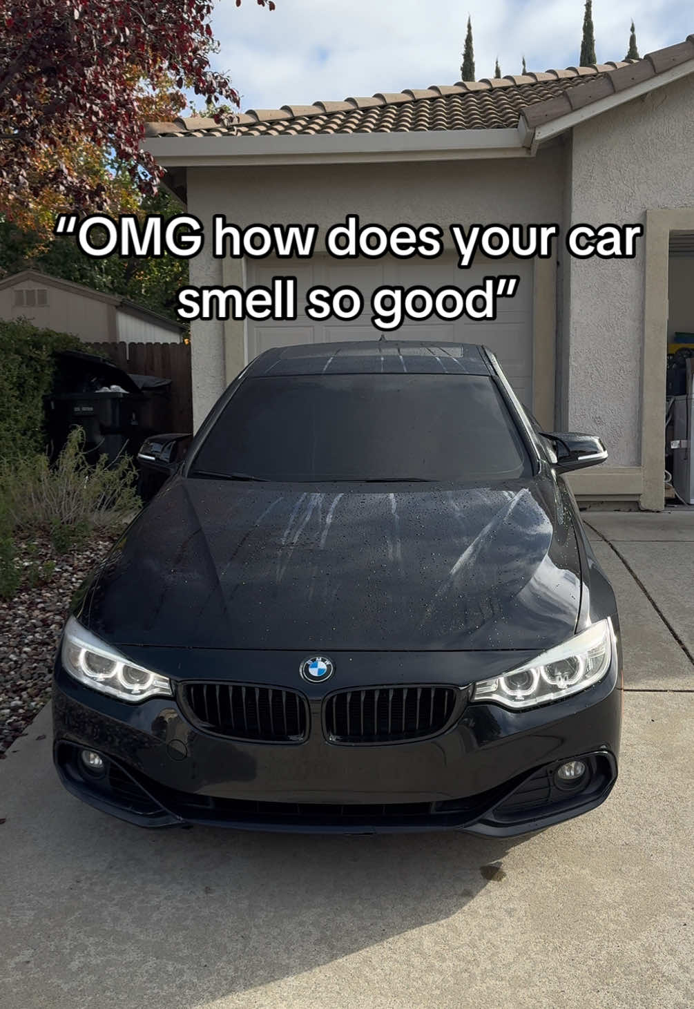 Best Car/Truck Freshener! Link is Above #foryou #giftideas #gift #carscents 