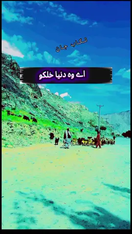 #شایسته #تگاب #جان  ♥️ #پشتون_تاجیک_هزاره_ازبک_زنده_باد🇦🇫 #فوريو #viralvideo #fyp 