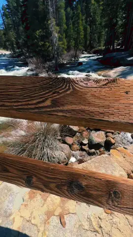 What a hike #Hiking #hikingadventures #yosemite #hikersoftiktok 