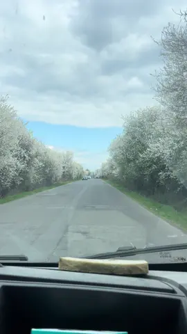 Đường vào chợ sapa #cộnghoasec🇨🇿 ##praha 