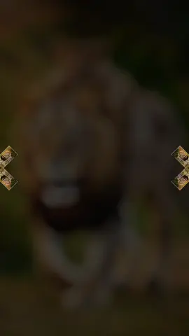 أقوال ومواعظ #explore #tik_tok #محظورة_من_كلشي😫💔 #الشعب_الصيني_ماله_حل😂😂 #fyp @Hannah Stocking @عابرون=0 @أقوال و مواعظ @أقوال و مواعظ 