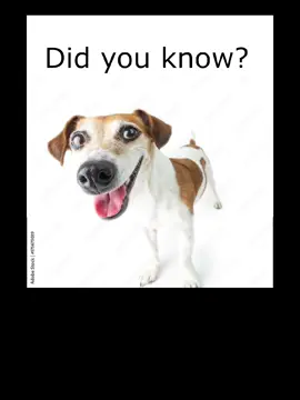 #fyp #DidYouKnow 