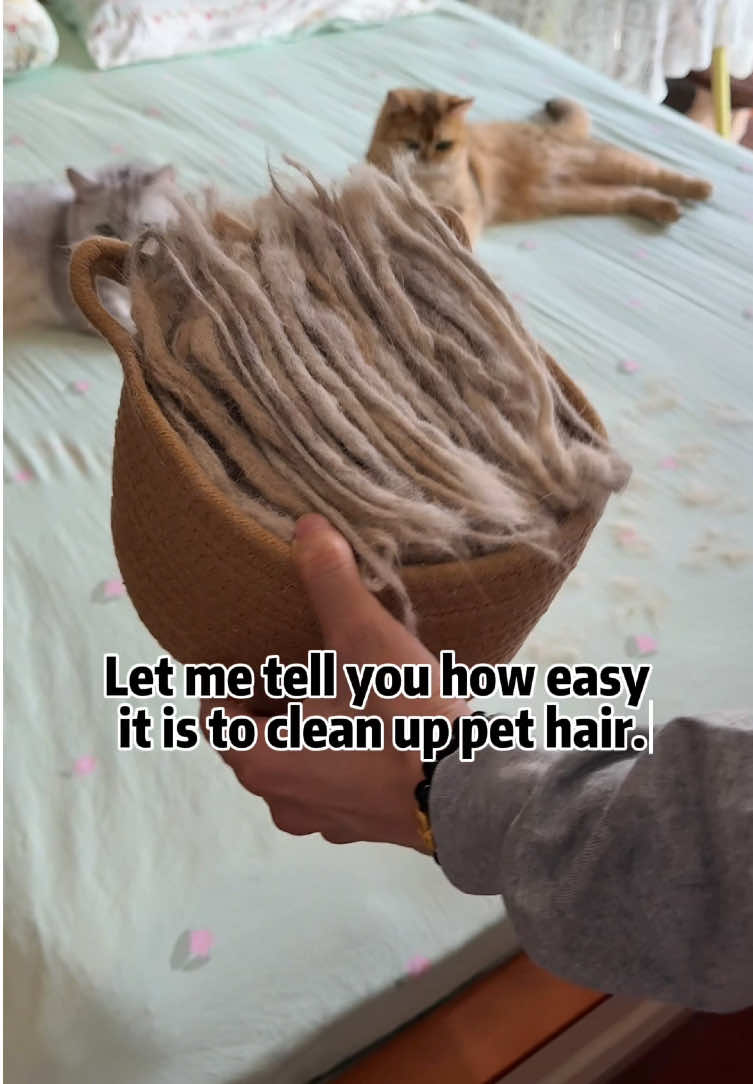 I have used almost every pet hair removal tool on the market and this is by far the best#pethairremoval #CleanTok #tiktokmademebuyit #fyp #petproducts 