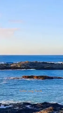 #CapCut Assalamu'allaikum 🙏🙏🤝🤝☺️