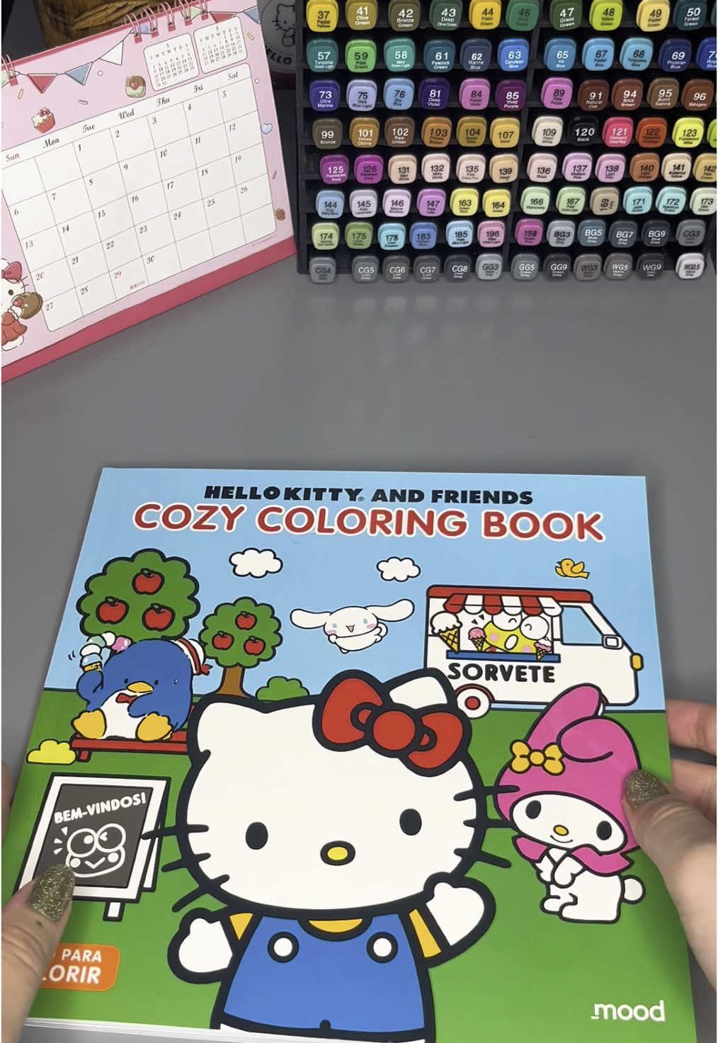 Muito lindo, não vejo a hora de colorir💕 @editora mood @Hello Kitty Brasil #hellokitty #coloringbook #livrodecolorir #cozycoloringbook #foryoupage 
