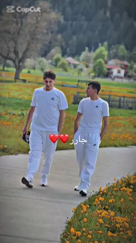 ژوندون ټوله ښایسته وی په خواږه ملګری❤️#پشتون_تاجیک_هزاره_ازبک_زنده_باد🇦🇫 #video #viral #faryou_tiktok_viral_video_faryour_page @ᴍᴿ᭄ᴹᵘᶻᵃᵐⁱˡ࿐★ 