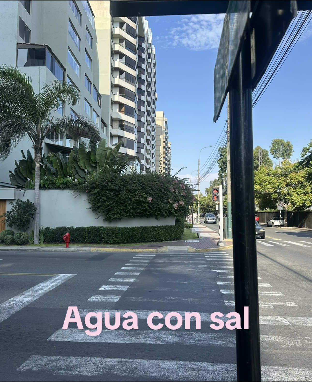 Respuesta a @𝓓𝓪𝓷𝓷𝓪 #girl #relatable #aguaconsal #curlygirl #rizos #agua #saldemar #salrosadadelhimalaya #salrosada 