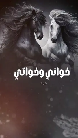 شيلة مدح خواني وخواتي || ابو فيصل (حصرياً) 2025  #اخواني_خواتي  #اخواني_عزوتي_وذخري #اخواني #اخواني_مطاليق_الرجالي #اخواني_الله_يحفظهم #اخواني_عزوتي #اخواني_المطانيخ #اكسبلور #السعودية #استديو_عين_الخليج_الشيلات  #اكسبلورexplore #تصميم_فيديوهات🎶🎤🎬 