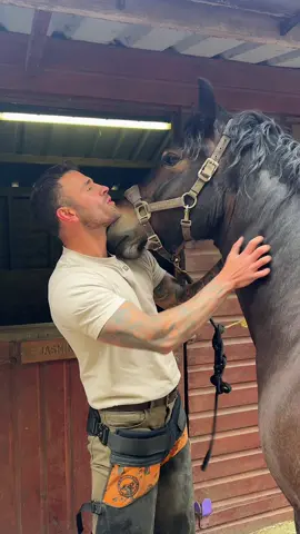 Jacks first pair of shoes🐴🤪 #horse #farrier #work #equestrian #fyp 