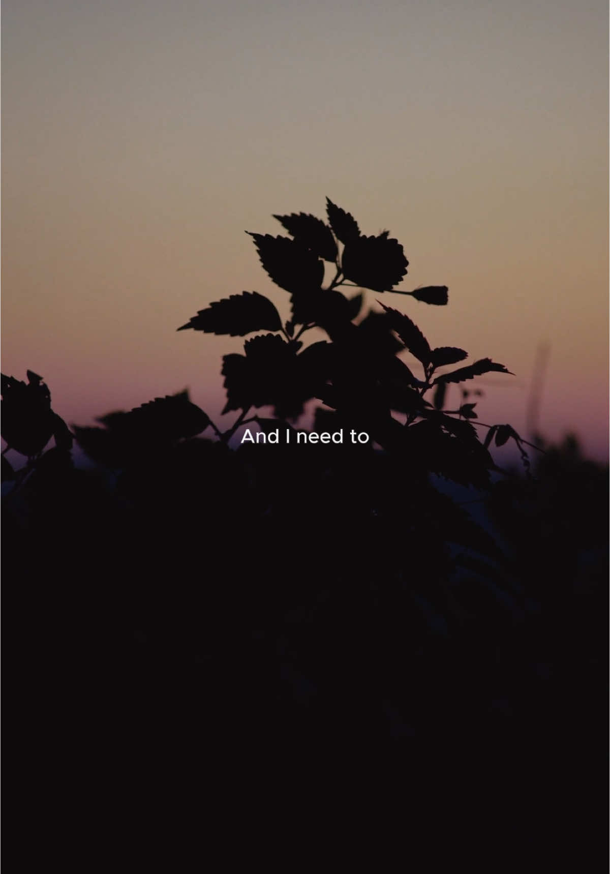 Stay - Alessia Cara #alessiacara #slowedsongs #fyp 