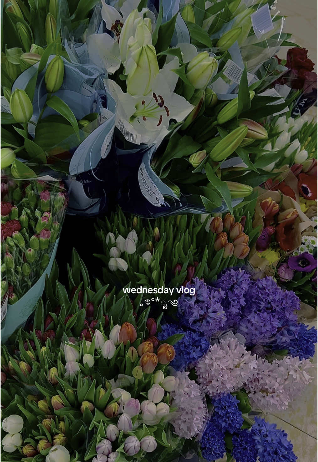 vlog🪴 .𖥔 ݁ ˖ #Vlog #aestheticvideos #aestheticvlog #spendthedaywithme #vlogs #aestheticvideo #vlogtiktok #spendthedaywithme #fttwlux 