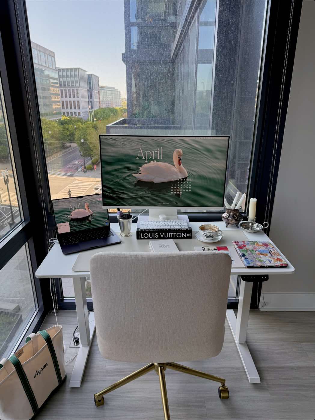 Customize my new work laptop with me 🦢 #washingtondc #dctok #fyp #macbookpro #desktopsetup #desksetup #girlthings #softwareengineerlife #wfhlife #pinterestaesthetic 