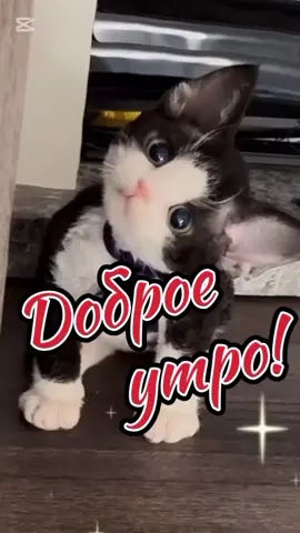 #сдобрымутром 