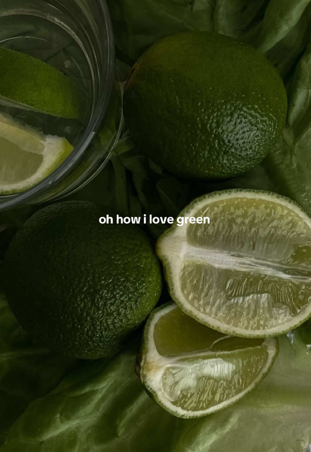 this is the type of green i dream about     💚🌿🌱🌳🍃🐉🪲 #greens #pinterest #pinterestaesthetic #greenlover #aestheticvideos #trendingvideo #fyyyyyyyyyyyyyyyy #fyp #fyy #grün #matcha #darkgreen #matchagreentea 