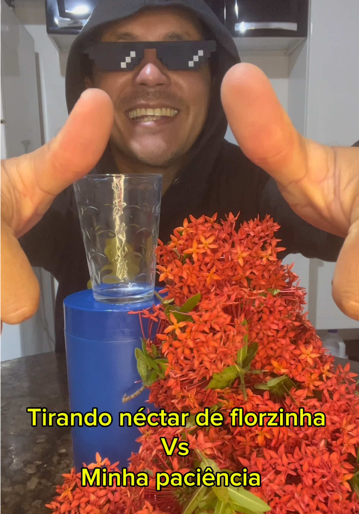 Tirando néctar de florzinha 🫨