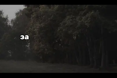 #пашатехник #lyrics_songs #song #щп #звукидлялипсингов #fyp #липсинг #текстпесни 